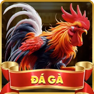 Biểu tượng Facebook của full88 thể thao